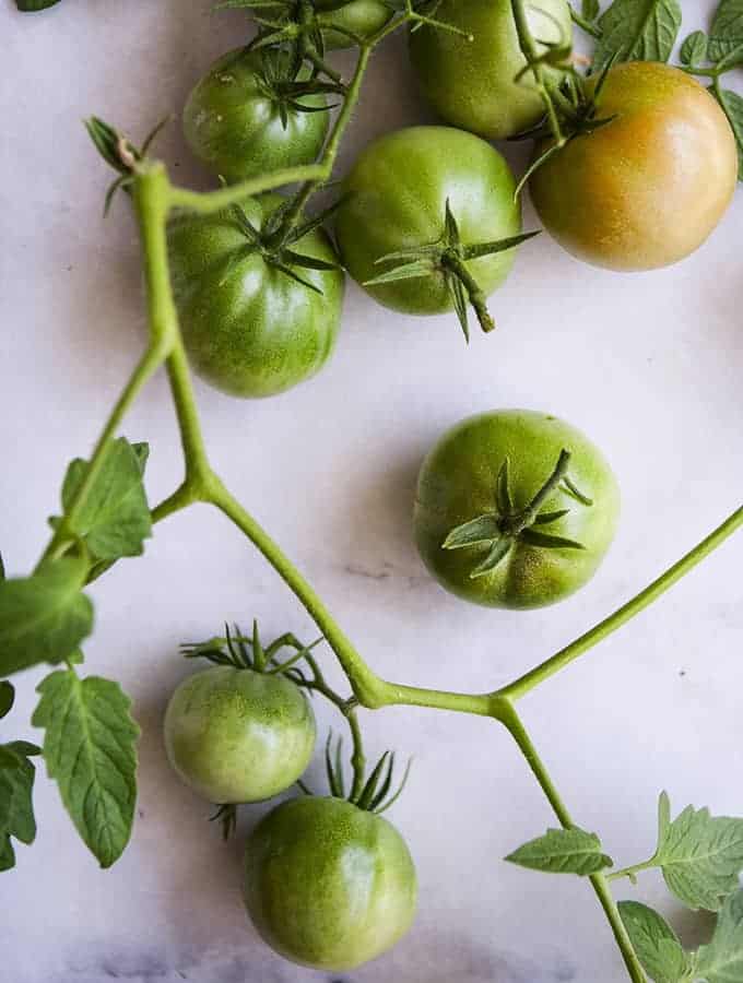 Bijouxs_com-green-tomatoes